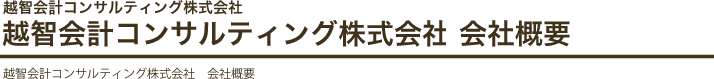 越智会計コンサルティング株式会社　会社概要